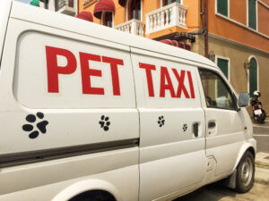 Cat Transport Service Company, Cat Transport Relocation Service Spain